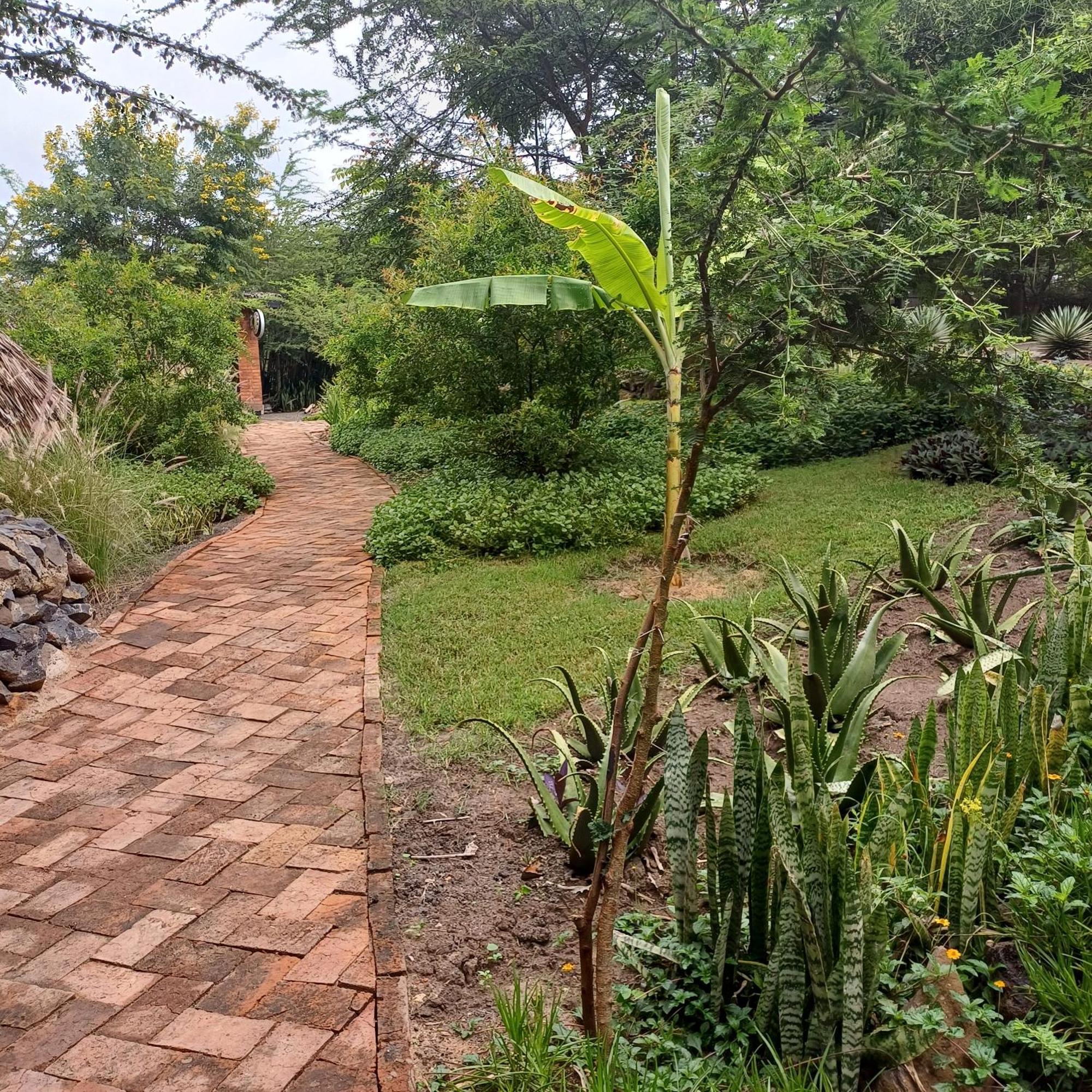 Kutoka Lodge Arusha Eksteriør bilde